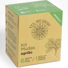 Kit Mudas | Agrião